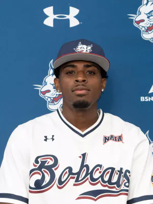 Erick Ballenilla, Baseball, undefined