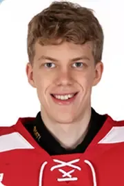 Mikhail Yegorov, Hockey, undefined