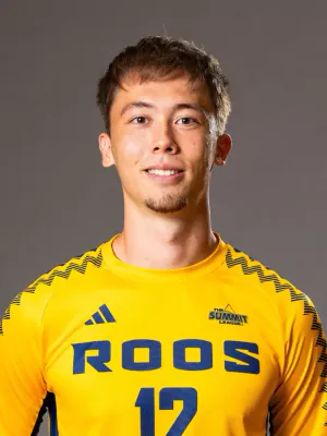 Ales Kohoutek, Soccer, undefined