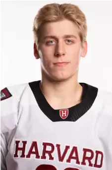 Heikki Ruohonen, Hockey, undefined