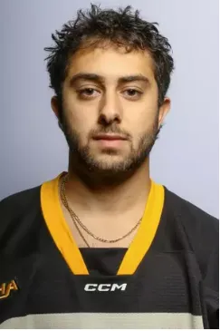 Ryan Abraham, Hockey, Michigan Tech University