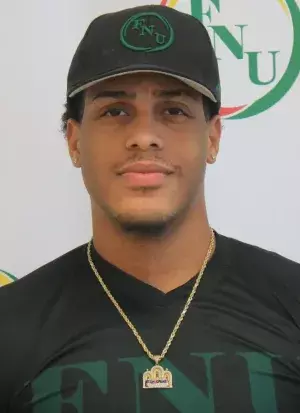 Endrys Nunez, Baseball, undefined