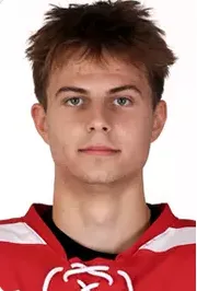Kamil Bednarik, Hockey, Boston University