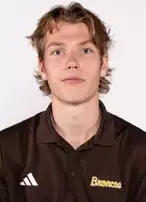 Ty Henricks, Hockey, Western Michigan University