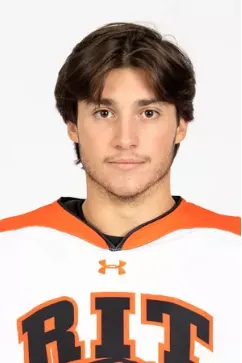 Chris Delaney, Hockey, undefined