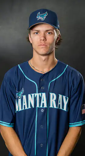 Austin Musgrove, Baseball, undefined