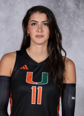 Sonja Danilovic, Volleyball, undefined