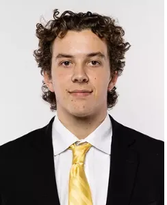 Bret Link, Hockey, undefined