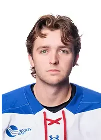 Henry Nelson, Hockey, undefined