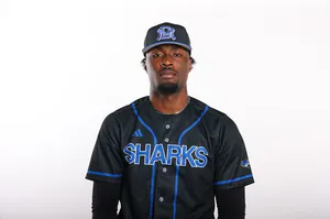 Xavier Pelzer, Baseball, Miami Dade College