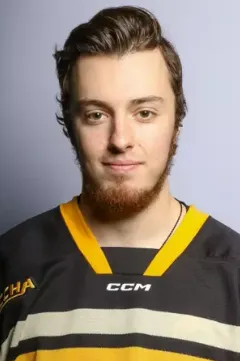 Stiven Sardarian, Hockey, Michigan Tech University