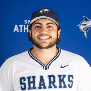 Frank Billisi, Baseball, undefined
