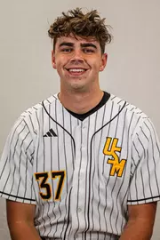 Andrew Visconti, Baseball, University of Southern Mississippi