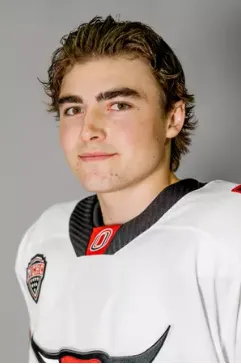 Joel Plante, Hockey, undefined