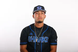 Denixon Suarez, Baseball, undefined
