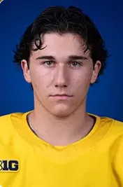 Adam Valentini, Hockey, undefined