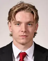 Donovan Hamilton, Hockey, Cornell University