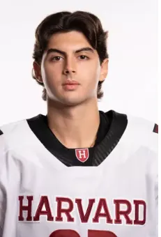Salvatore Guzzo, Hockey, undefined