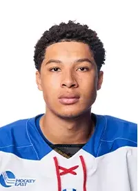 Michael Felsing, Hockey, Robert Morris University