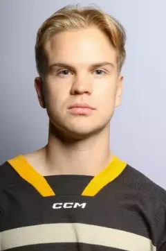 Lauri Raiman, Hockey, Michigan Tech University