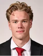 Luke Ashton, Hockey, Cornell University
