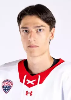 Eric Jamieson, Hockey, University of Denver