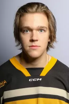 Tom Leppa, Hockey, Michigan Tech University
