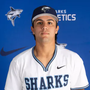 Manuel Sanchez, Baseball, undefined
